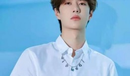 圈内爆料王一博完整视频,揭秘背后不为人知的精彩瞬间