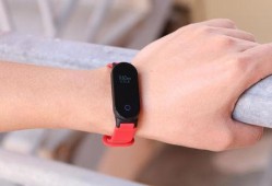 娱乐吃瓜戴手环,揭秘明星幕后生活