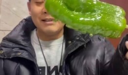 临沂吃瓜网红事件视频曝光,揭秘网络舆论风波背后的真相