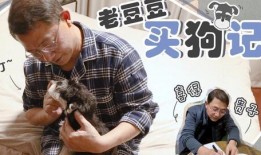 博主爆料父亲的视频大全,视频大全背后的温馨瞬间