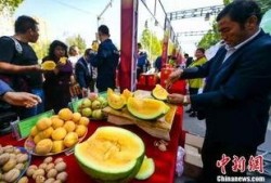 保定最新吃瓜爆料新闻,揭秘神秘事件背后的真相